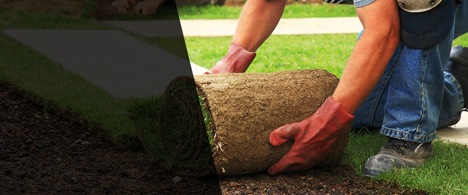 Franklin Square Landscapers